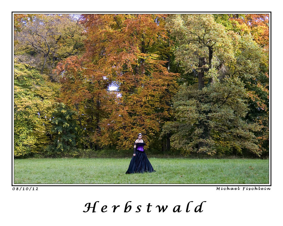 Herbstwald