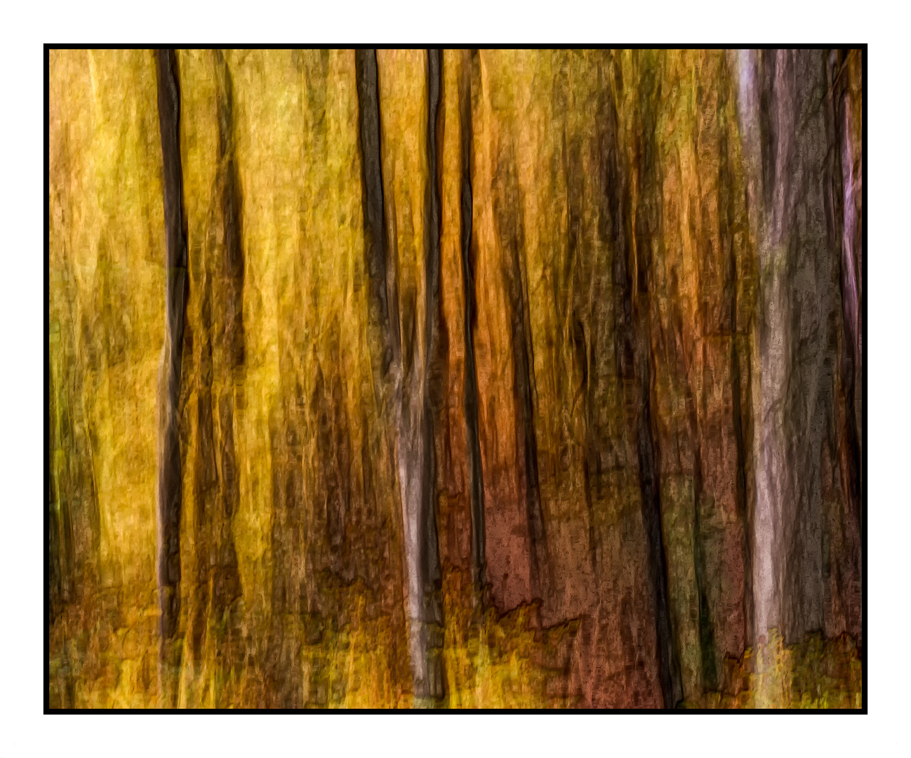 Herbstwald abstrakt