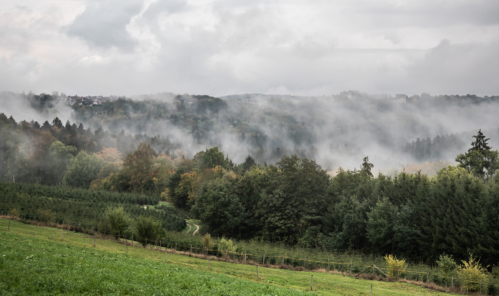 Herbstwald