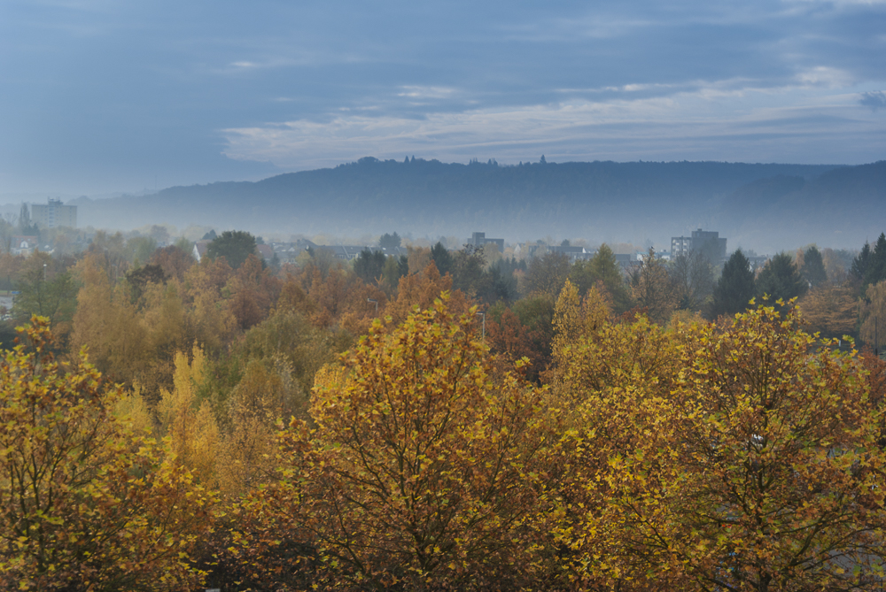 Herbstwald