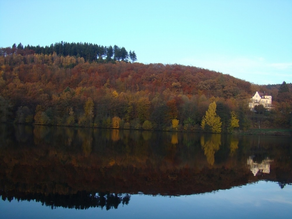 Herbstwald am Biggesee