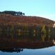 Herbstwald am Biggesee