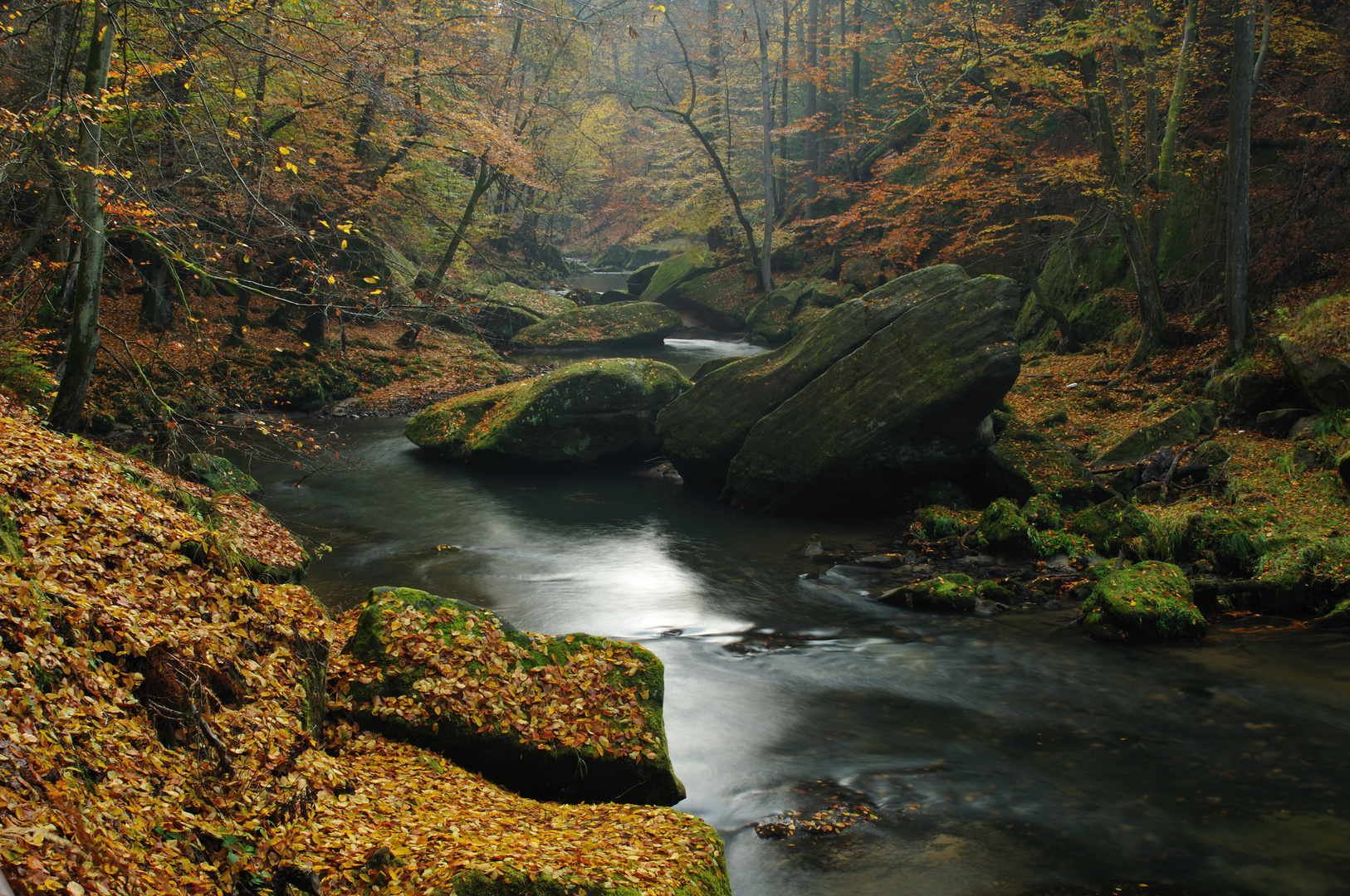 Herbstwald am Edmundsklamm