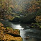 Herbstwald am Edmundsklamm