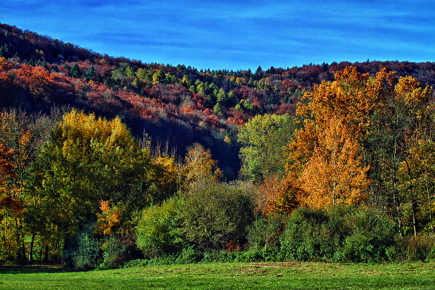 Herbstwald am Happurger Stausee (HDR)