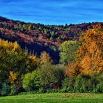 Herbstwald am Happurger Stausee (HDR)