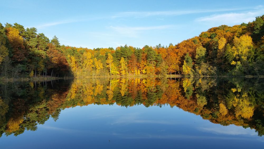 Herbstwald am See