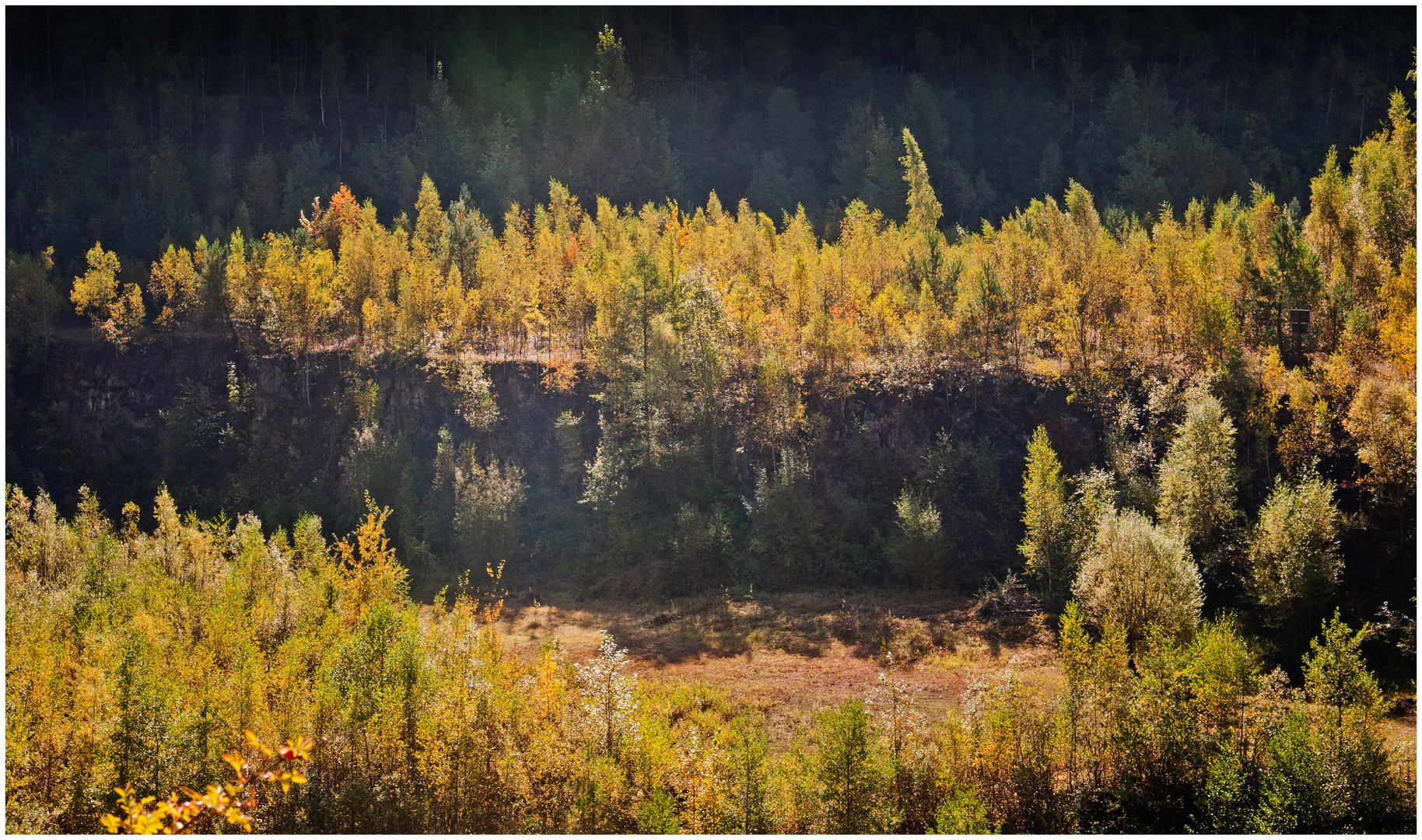 Herbstwald am Spätnachmittag