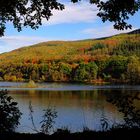 Herbstwald am Stausee Obermaubach