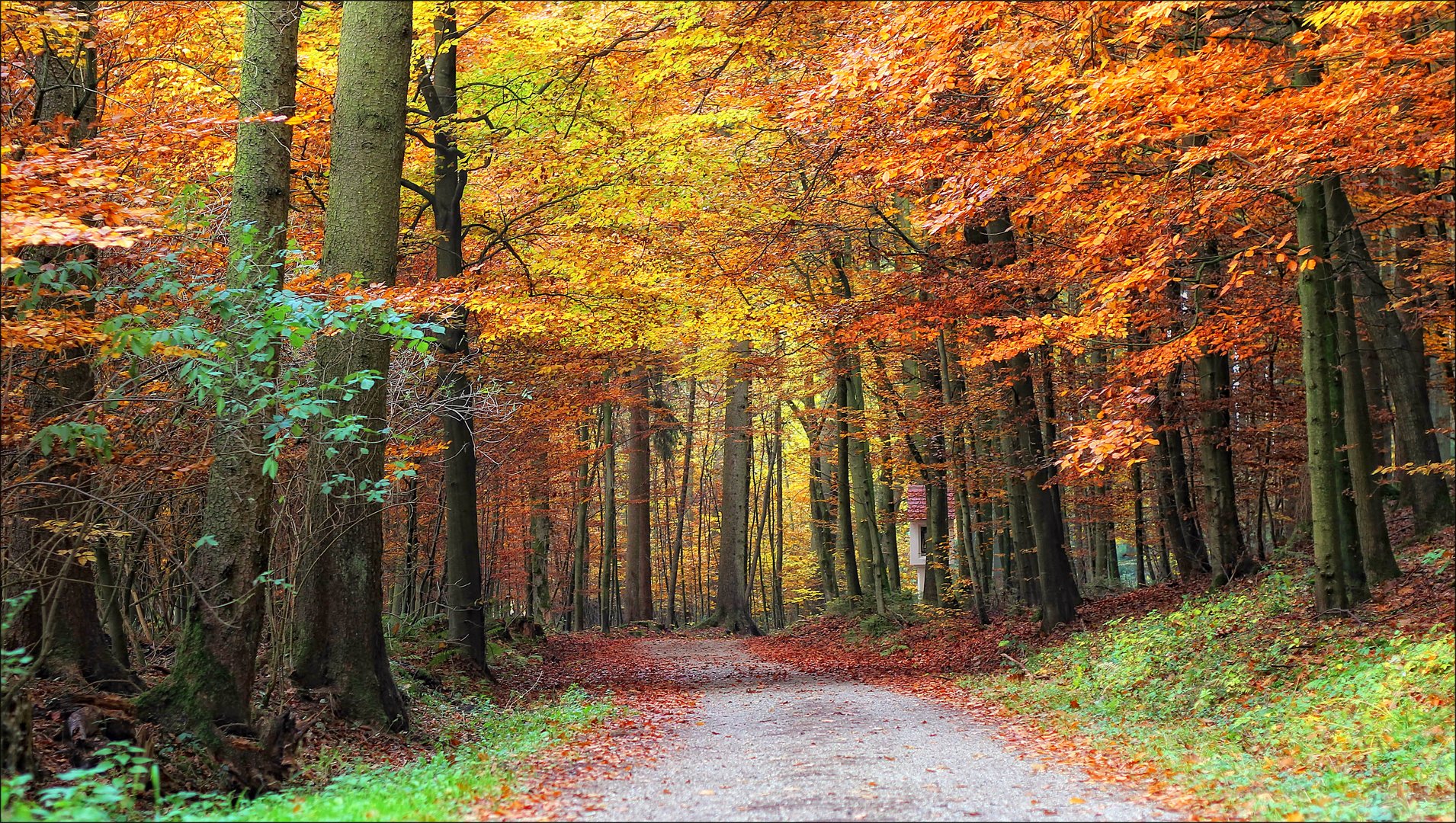 "Herbstwald"