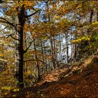 Herbstwald