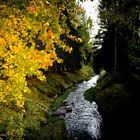 Herbstwald bei Geyer mit Fluss