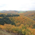 Herbstwald bei Meddersheim an der Nahe