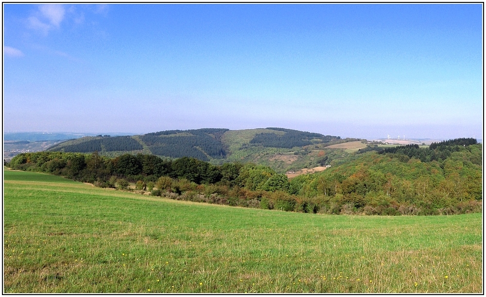 Herbstwald bei uns in Pellingen