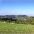 Herbstwald bei uns in Pellingen