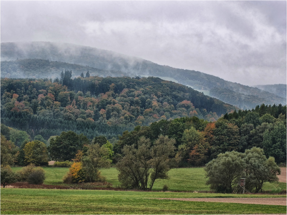 Herbstwald bei Usingen