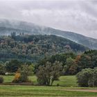 Herbstwald bei Usingen