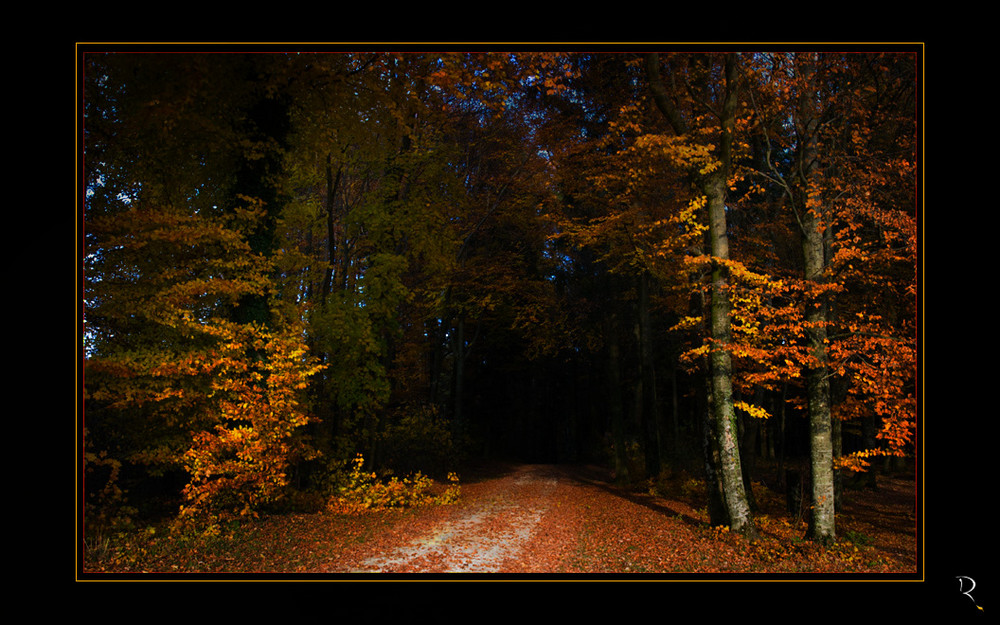 Herbstwald