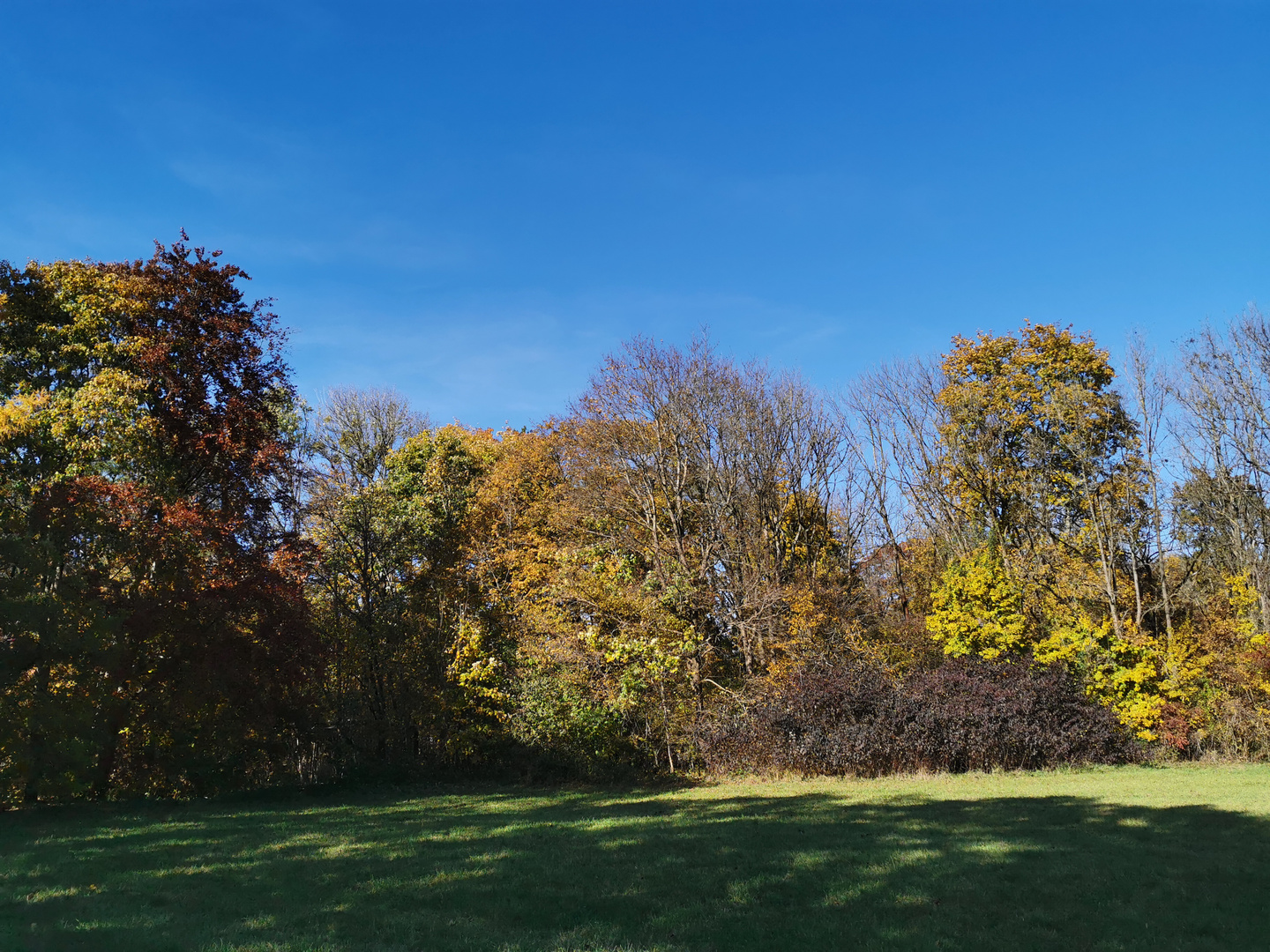 Herbstwald