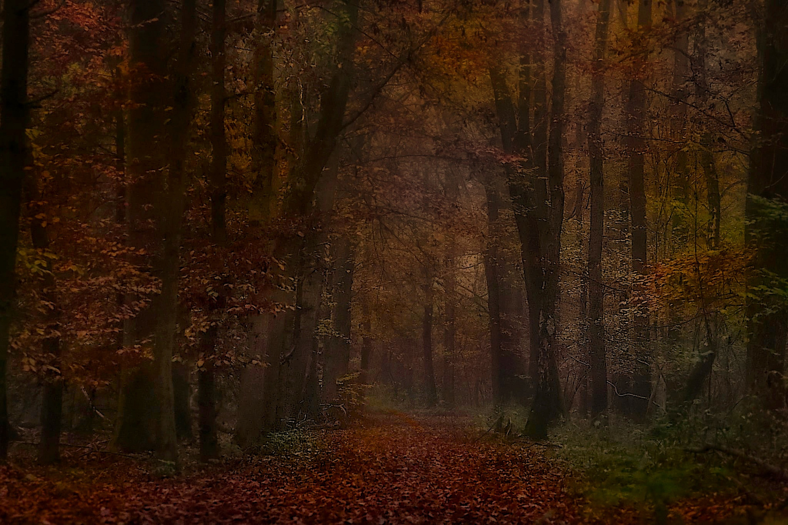 Herbstwald