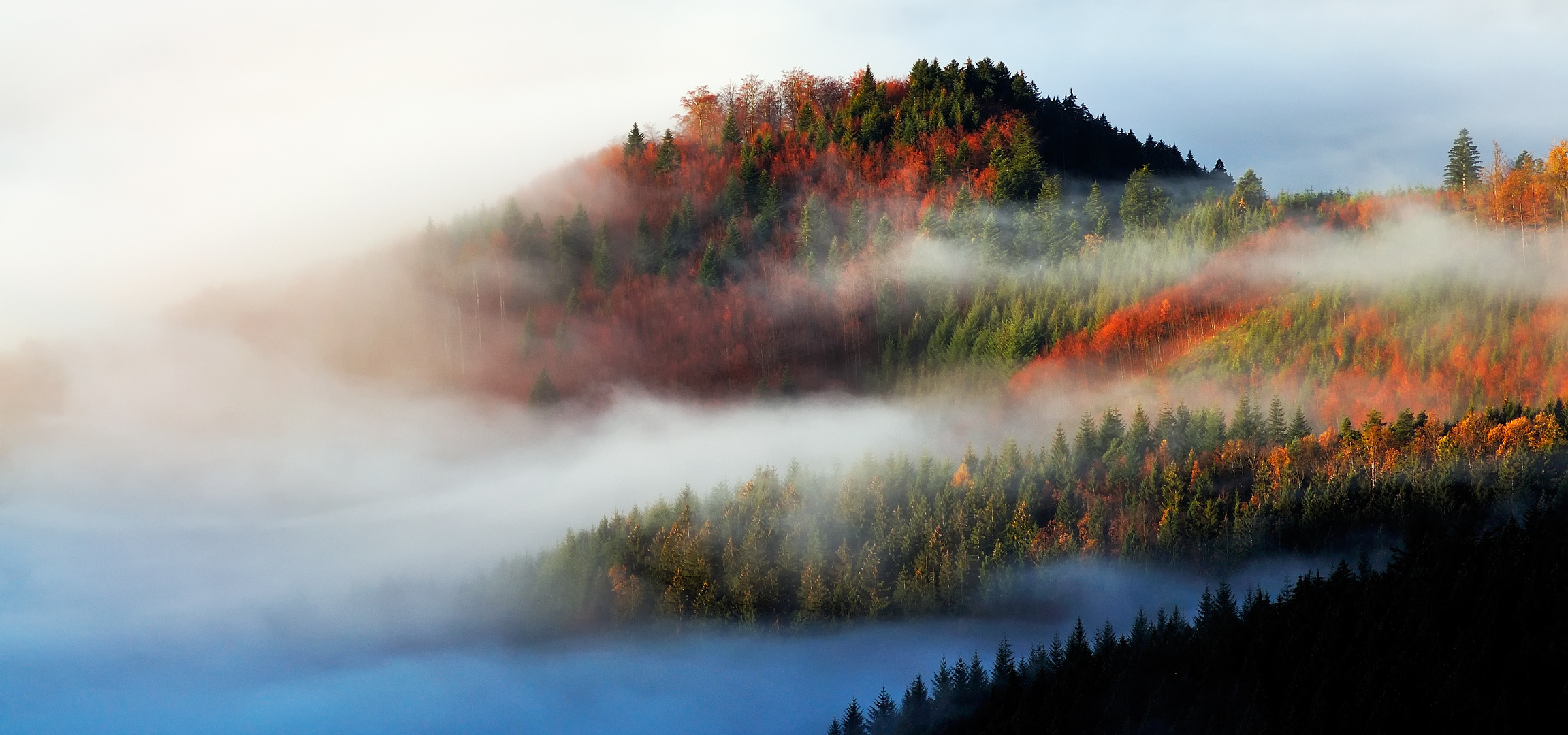 Herbstwald