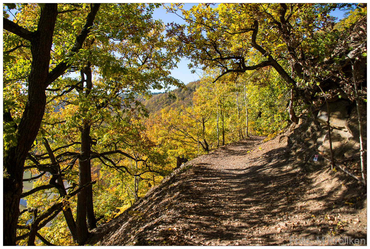 Herbstwald