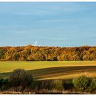 Herbstwald