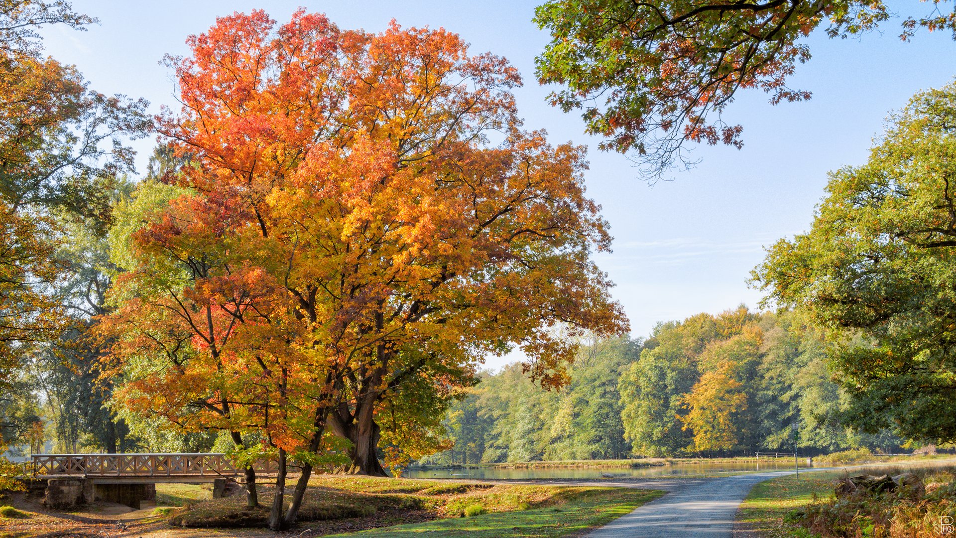 Herbstwald