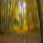 Herbstwald