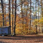 Herbstwald