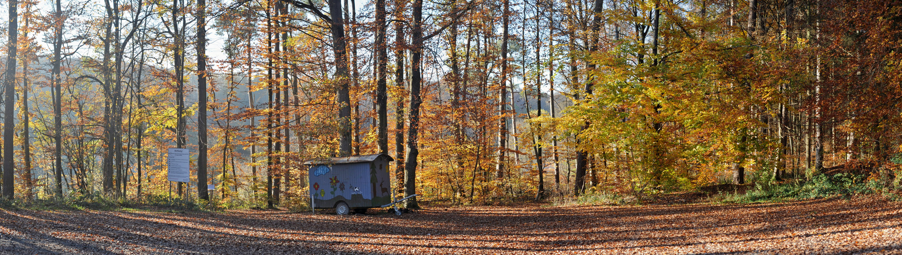 Herbstwald