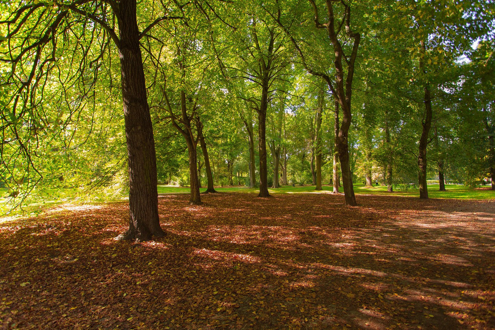 Herbstwald