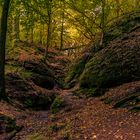 Herbstwald