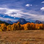 Herbstwald gegen Teton Range, Wyoming, USA