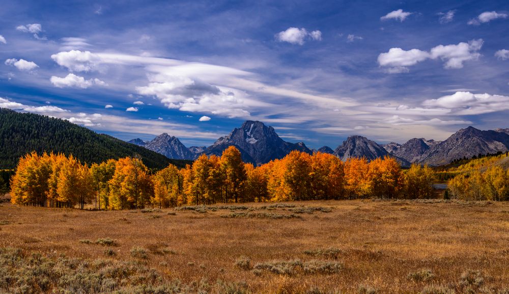 Herbstwald gegen Teton Range, Wyoming, USA