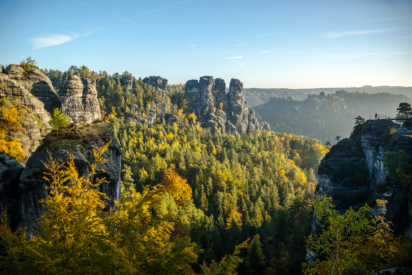 Herbstwald II