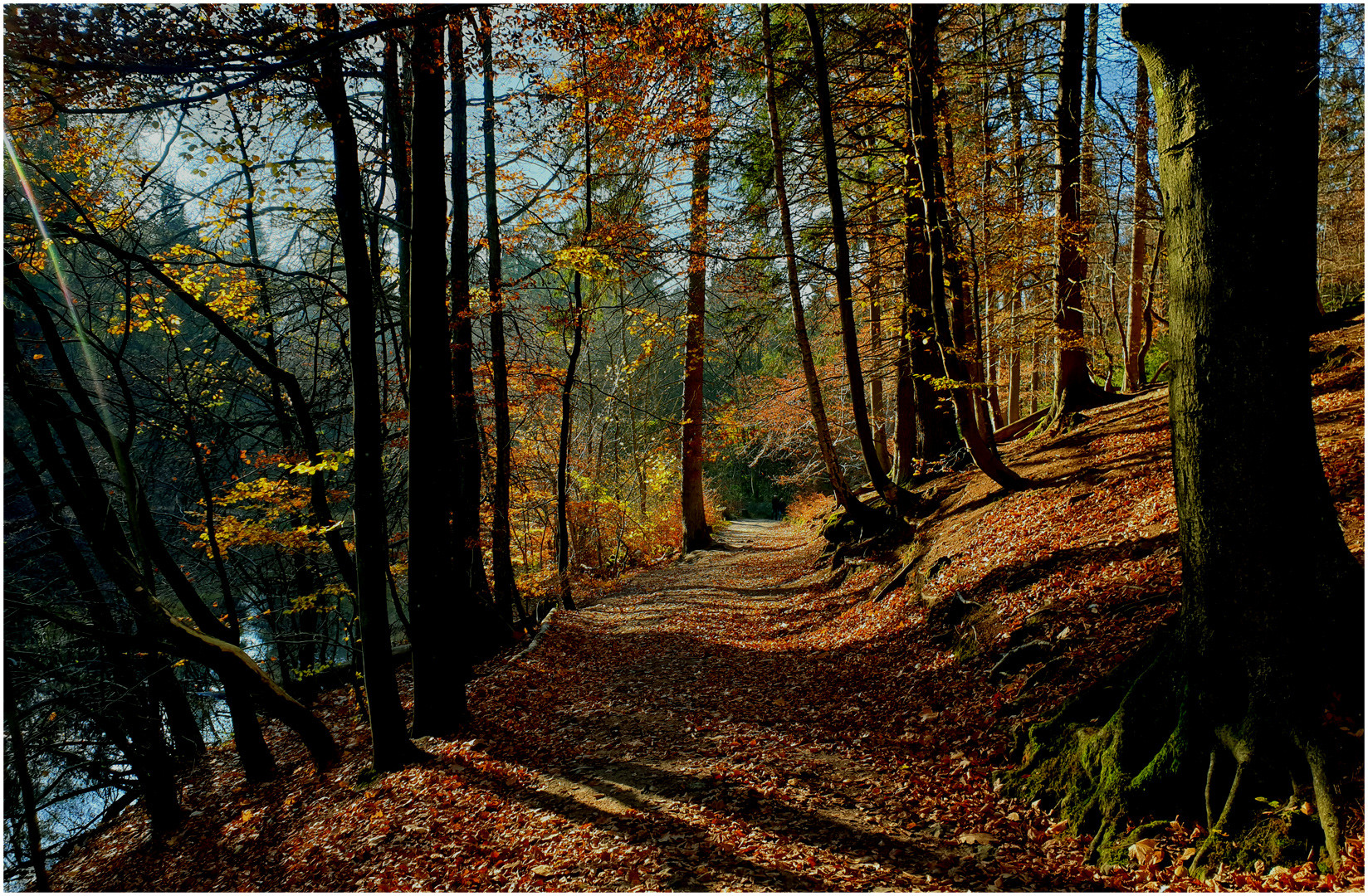 Herbstwald III