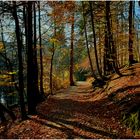 Herbstwald III