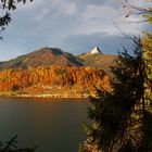 Herbstwald im Abendlicht