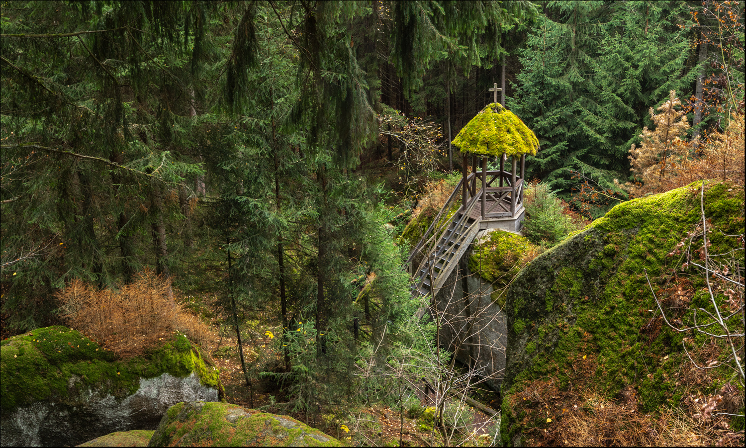 Herbstwald im Felsenlabyrinth