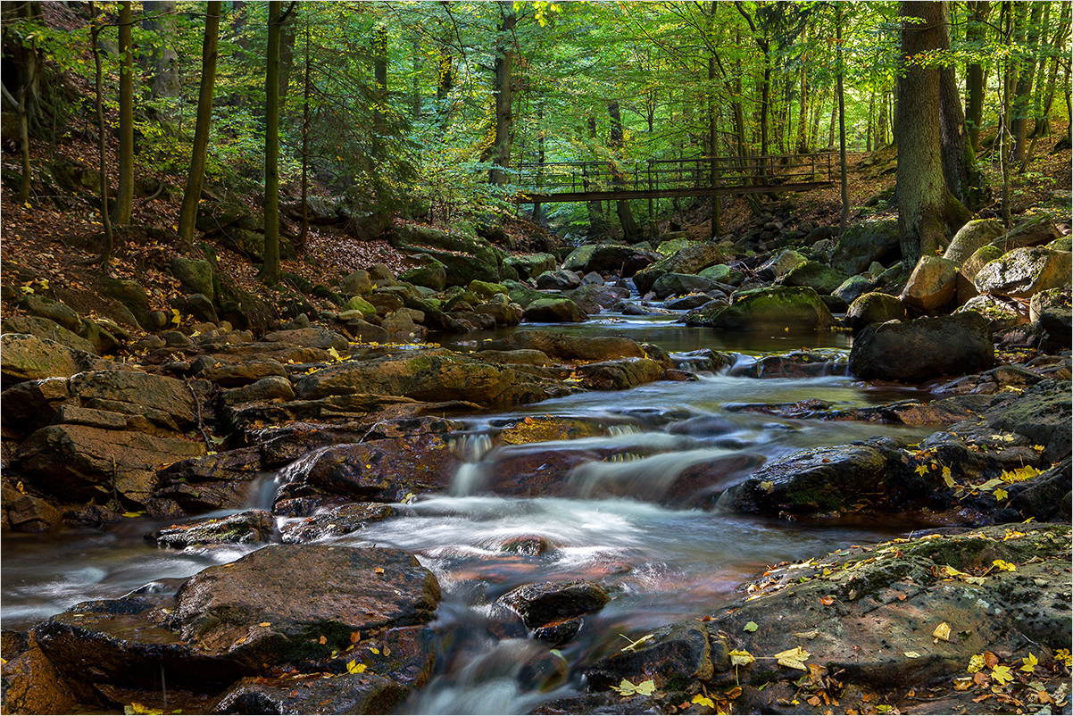 Herbstwald im Ilsetal