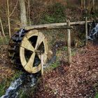 Herbstwald im Sauerland 