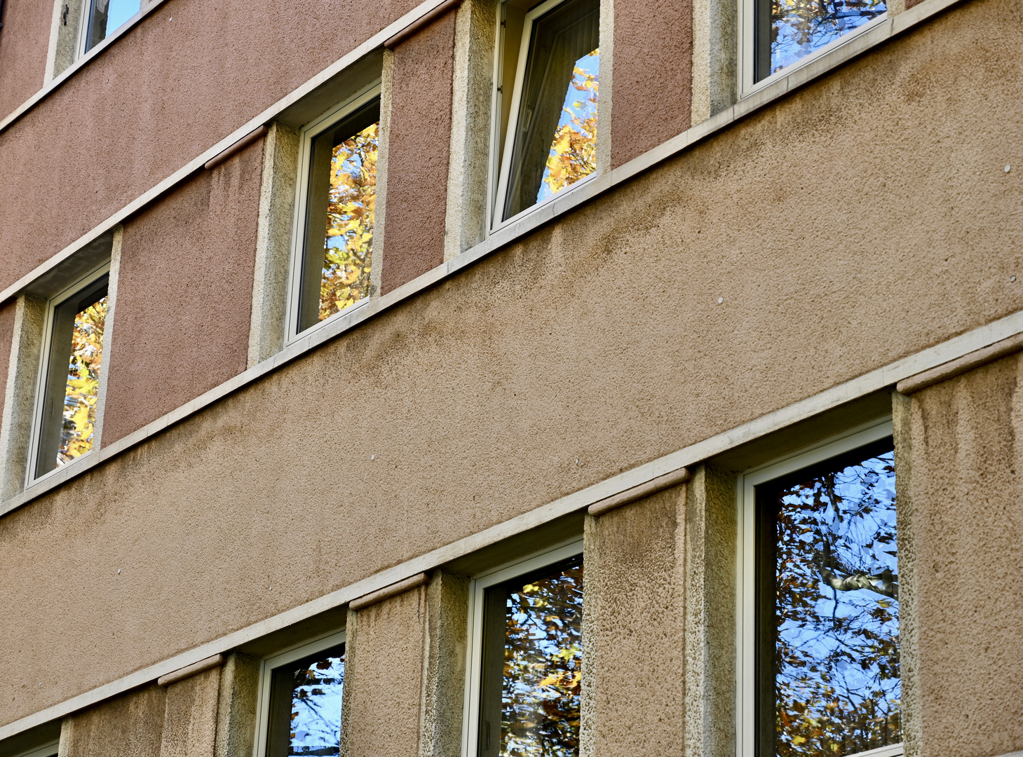 Herbstwald im Spiegelbild