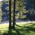 Herbstwald in den Dolomiten