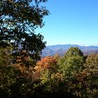 Herbstwald in den Smoky Mountains.