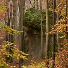 Herbstwald in der Hersbrucker Schweiz