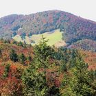 Herbstwald in Frankreich "Ballon d' Alsace".