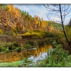 Herbstwald mit Bachlauf