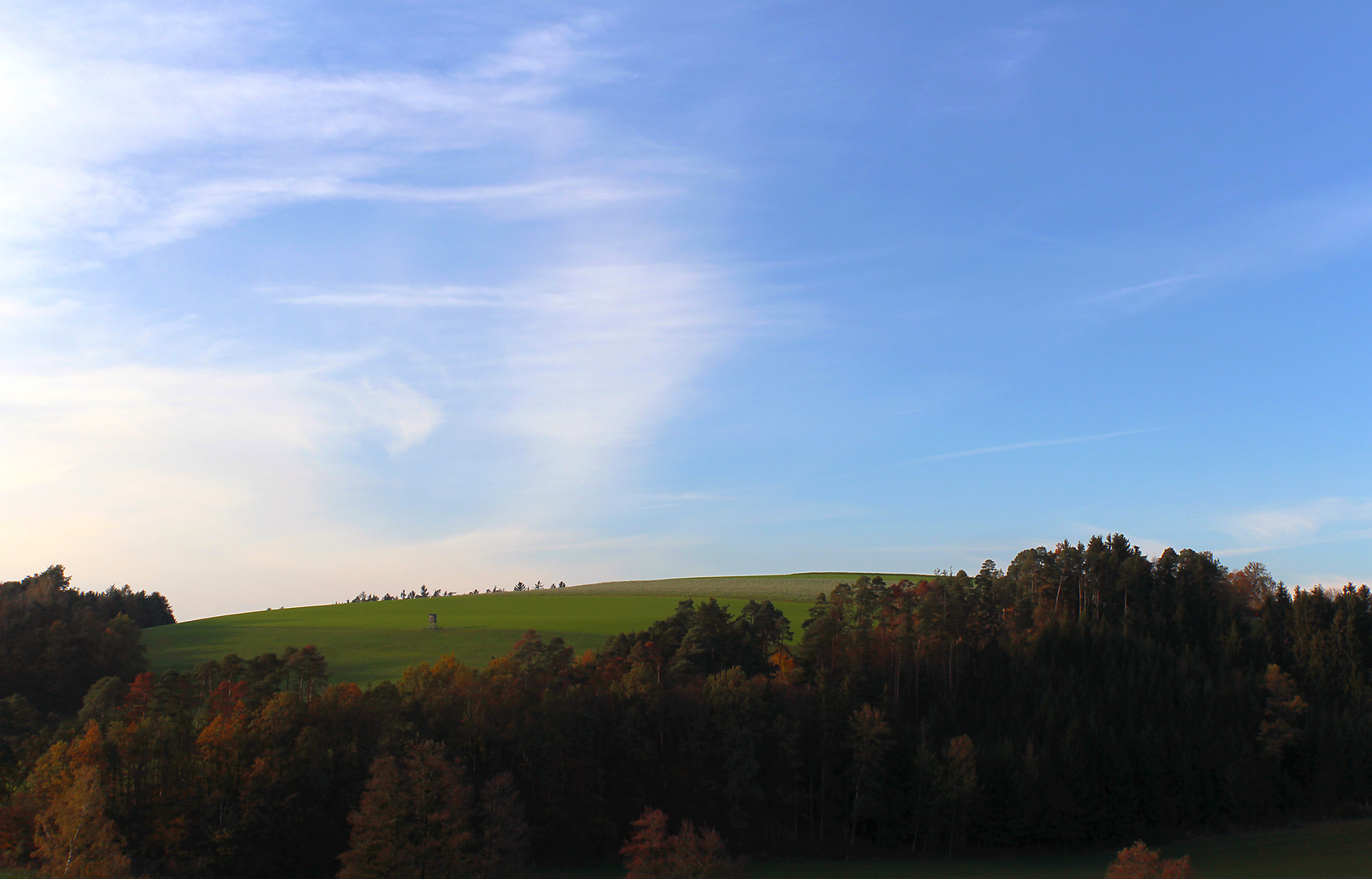 Herbstwald mit Hochsitz