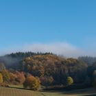 Herbstwald mit Nebel